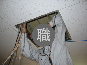 天井裏からこんにちは