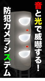 音と光で威嚇する防犯カメラシステム
