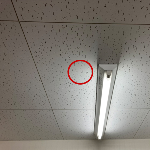 金庫がある部屋の付近に隠しカメラ