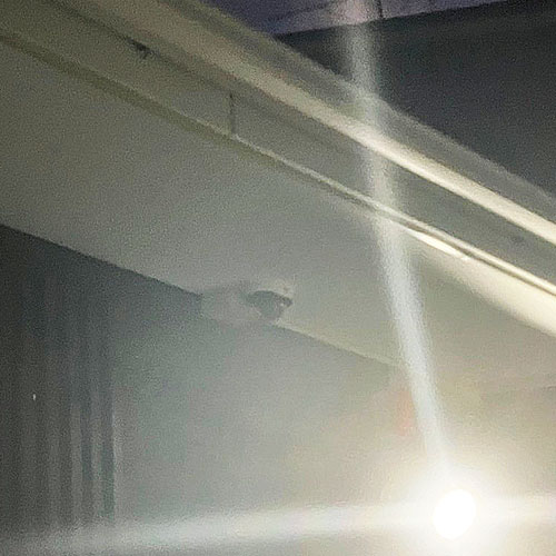 玄関前に防犯カメラとセンサーライト