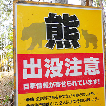 温泉の熊が気になる方へ 全国の被害・出没状況と安全に楽しむための対策を紹介