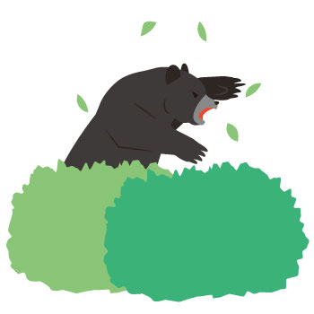 冬眠しない熊が人里に降りてくる