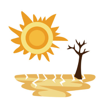 熊が冬眠しない要因