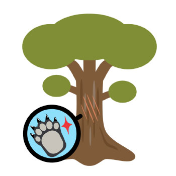 熊がいた跡を知る