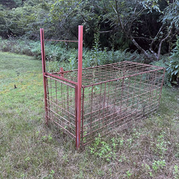 クマが学習し、罠を回避している