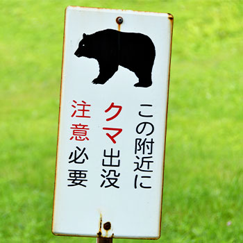 熊出没注意の看板