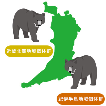 近畿北部地域個体群と紀伊半島地域個体群