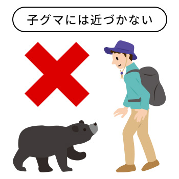 子グマを見かけたら絶対に近づかない