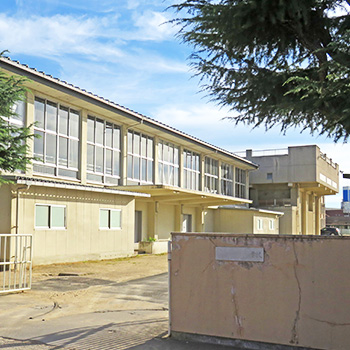 生活圏にクマが出没する理由