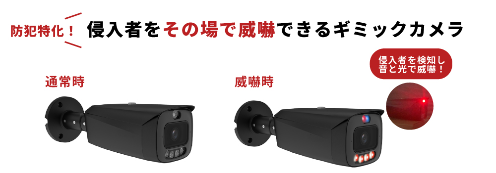 AIカメラで侵入者を検知して、音と光で威嚇