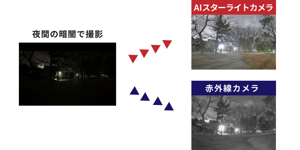 赤外線カメラとスターライトカメラの画像比較