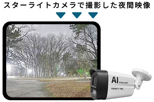 スターライトカメラで撮影した夜間映像