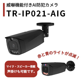 ギミックカメラ TR-IP021-AIG