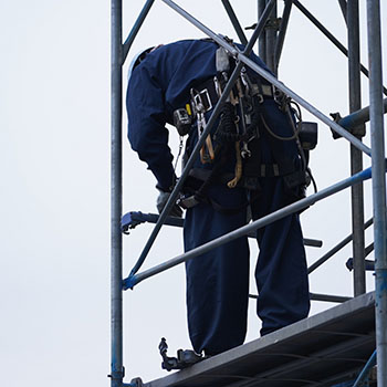 高年齢労働者の増加