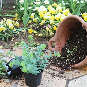 勝手に花を切ったり花壇を荒らす行為は物損壊罪に問われる可能性