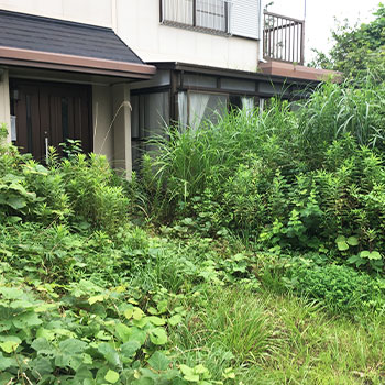 雑草やゴミによる近隣トラブル