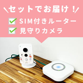 インターネット環境・Wi-Fi不要で使用できる高齢者見守りカメラ