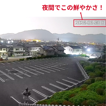 夜間もカラーで撮影するAIスターライトカメラ