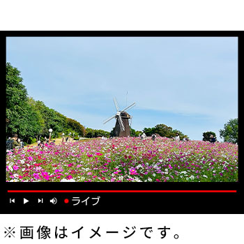 トリニティーLIVEで24時間365日ライブ配信