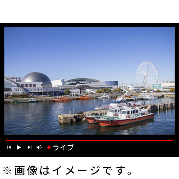 YouTubeで24時間365日ライブ配信「トリニティーLIVE」