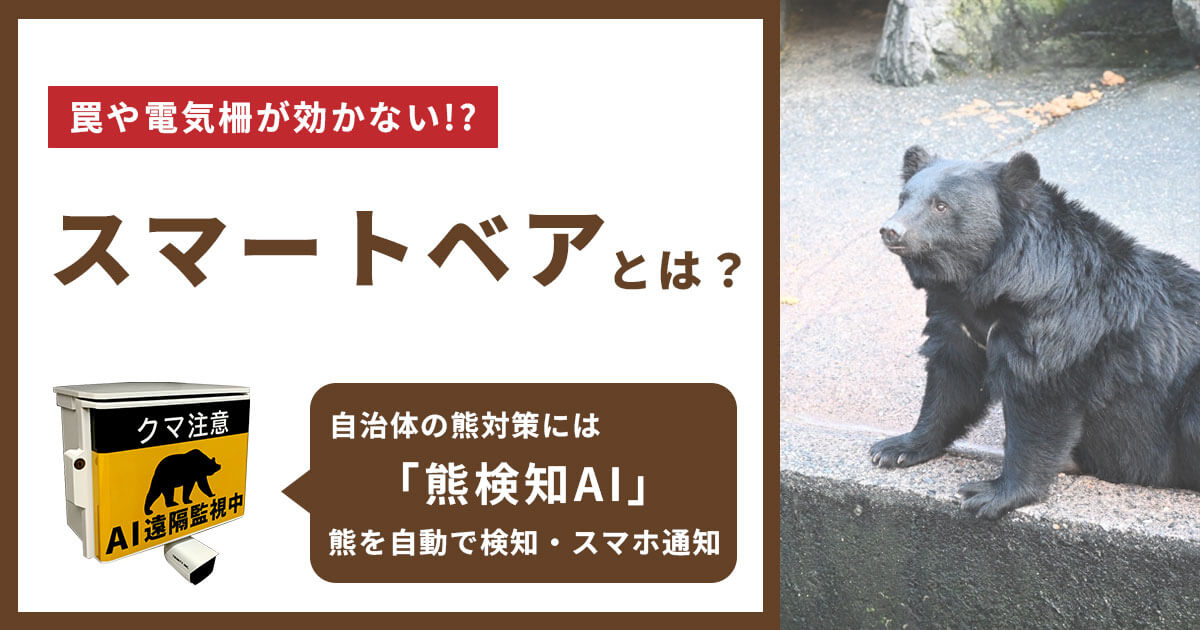 スマートベアとは?罠や電気柵が効かない賢いクマの実態と対策法を解説