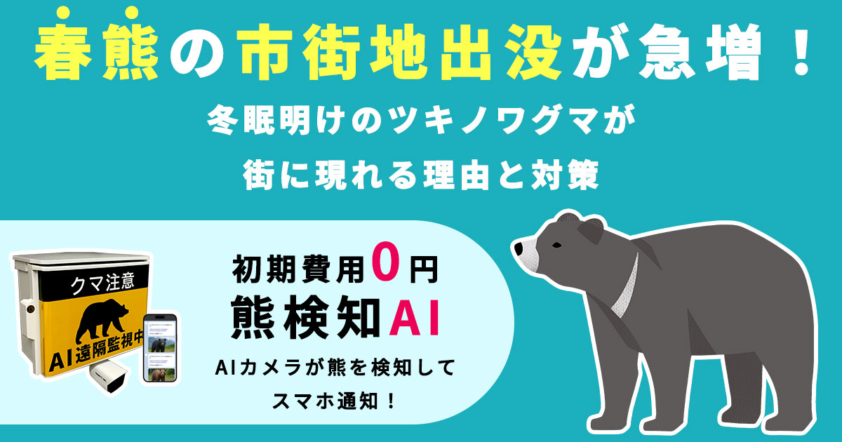 【2026年春】春熊の市街地出没が急増！冬眠明けのツキノワグマが街に現れる理由と対策