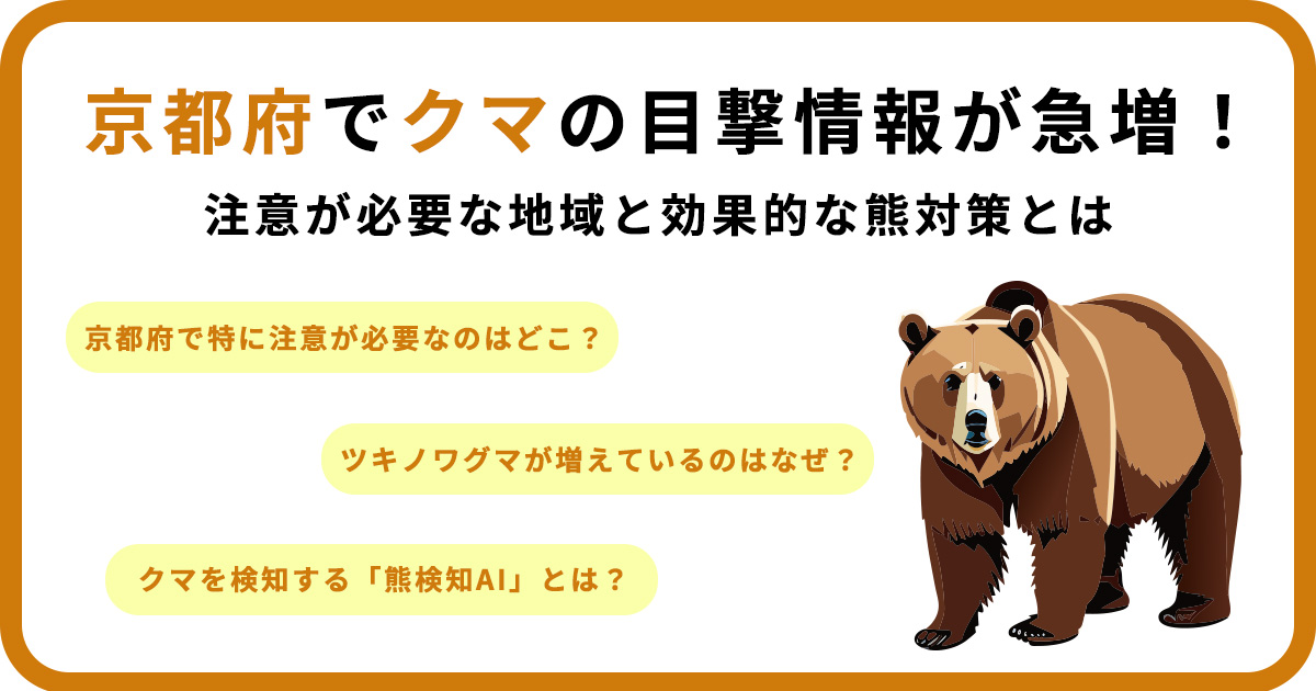 京都府でクマの目撃情報が急増！注意が必要な地域と効果的な熊対策とは