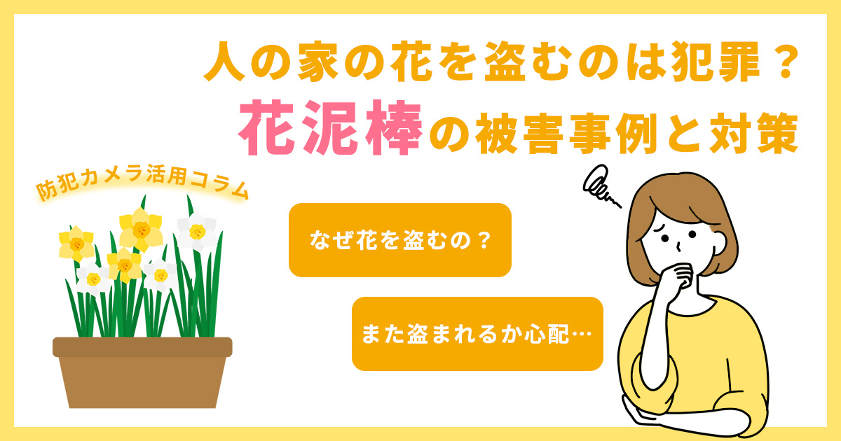人の家の花を盗むのは犯罪？花どろぼうの被害実例と警察に相談する前の防犯対策