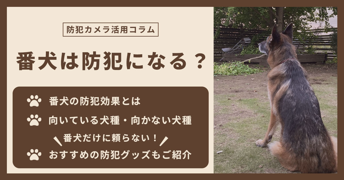 番犬は本当に防犯になる？おすすめの犬種・向かない犬種・プロが教える防犯対策完全ガイド