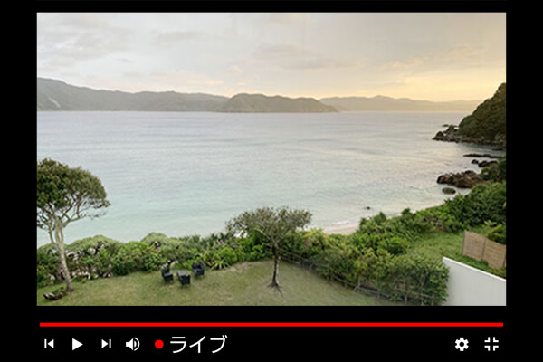 YouTubeライブ配信