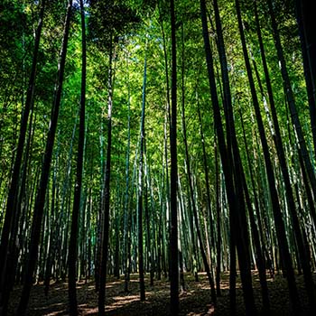 設置場所に日光が当たらない場所