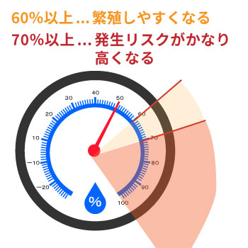 食品工場のカビ対策・衛生管理の必須ポイント