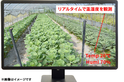 温湿度を観測