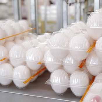食品の保管庫にも温湿度管理が重要