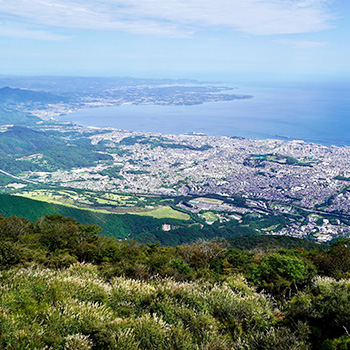 別府市