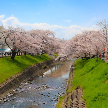大和高田市の風景をトリニティーライブで配信できます